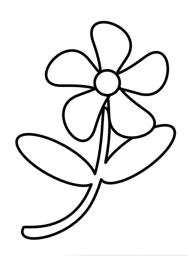 Malvorlage  Blume