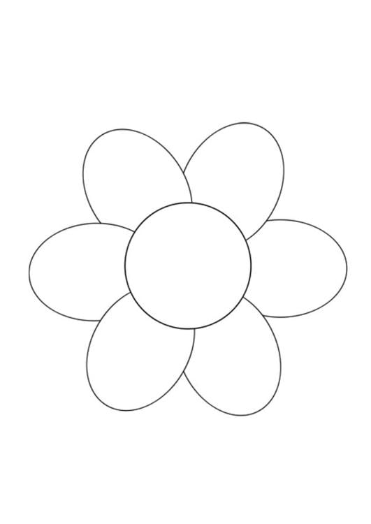 Blume