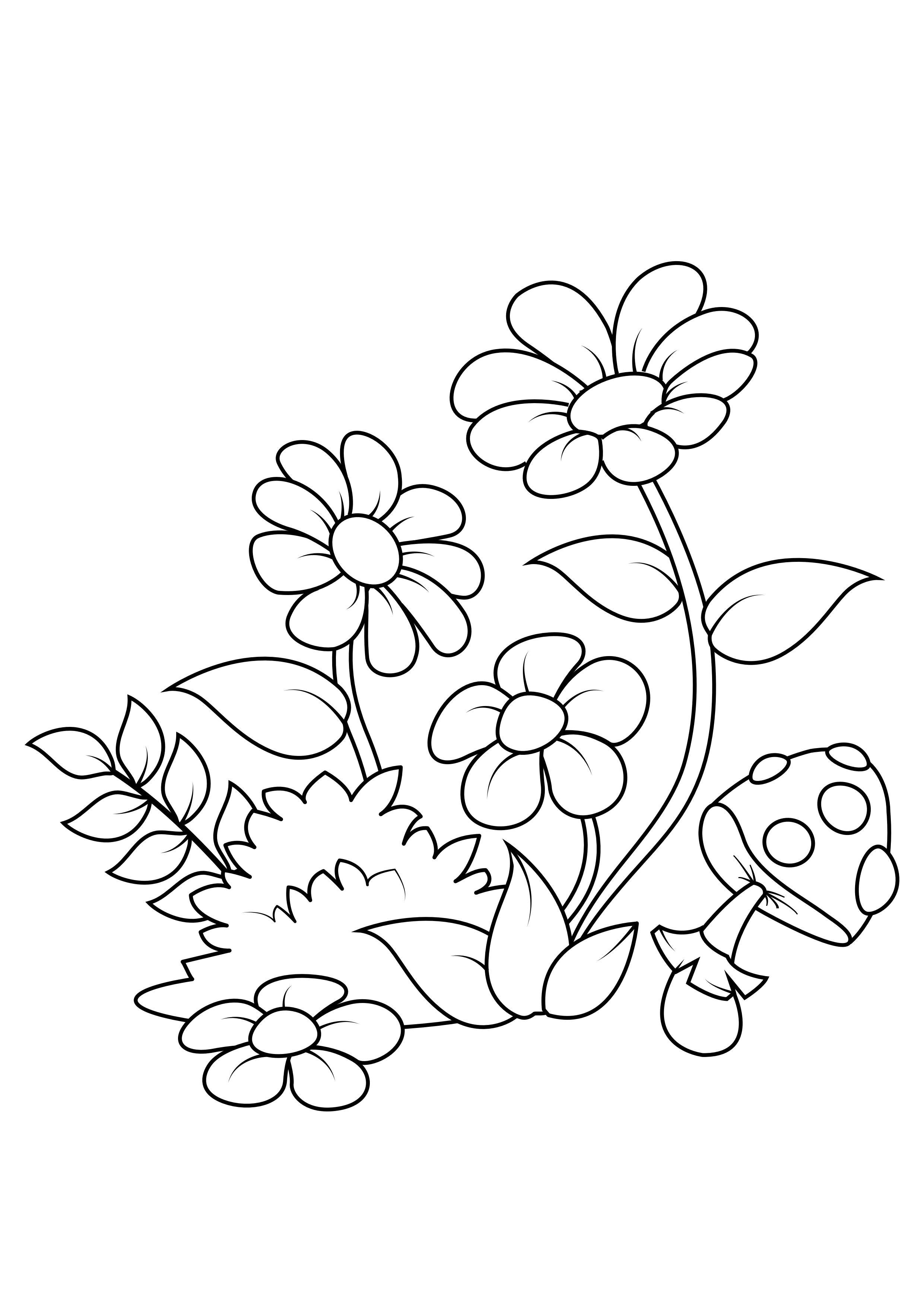 Malvorlage Blumen im Wald - Kostenlose Ausmalbilder Zum Ausdrucken