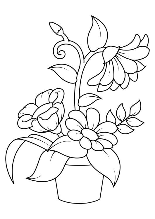 Blumen