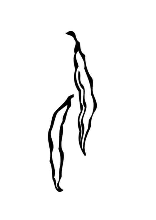 Bohnen
