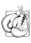 Boxhandschuhe