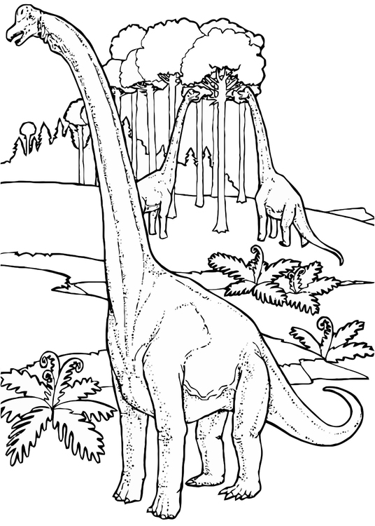Malvorlage  Brontosaurier