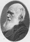 Malvorlage  Charles Darwin