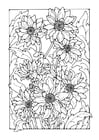 Chrysanthemen