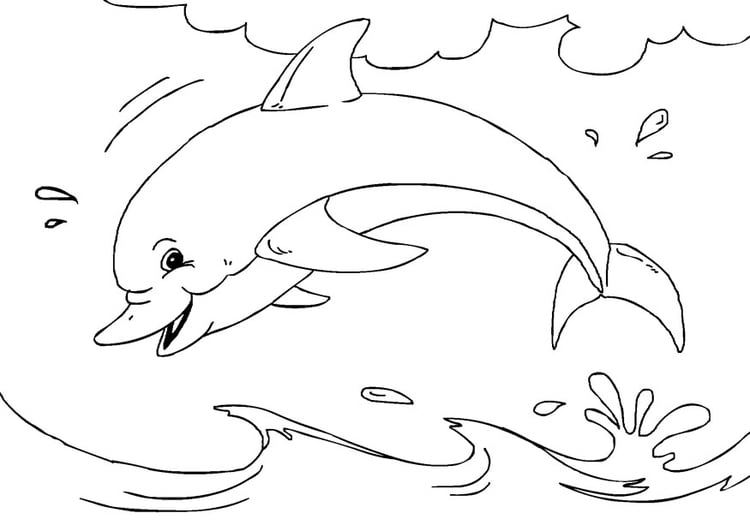 Malvorlage  Delfin