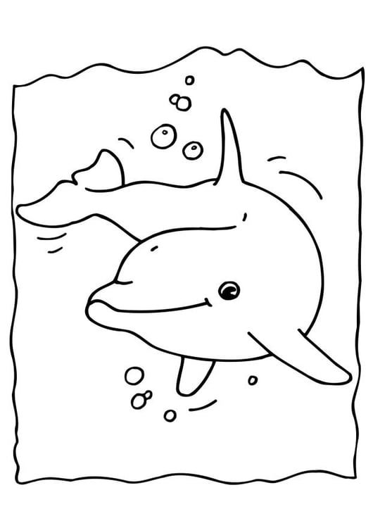 malvorlage delphin  kostenlose ausmalbilder zum
