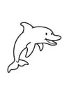 Malvorlage  Delphin