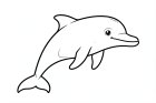 Delphin