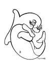 Malvorlage  Delphin
