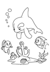 Delphin und Fisch mit Anker