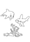 Malvorlagen Delphin und Hai