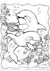 malvorlage Delphinen 2