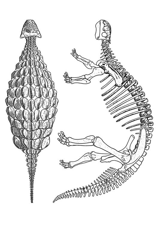 Dinosaurier - Ankylosaurus