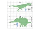Dinosaurus Maße