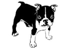 Malvorlagen Dogge - französische Bulldogge