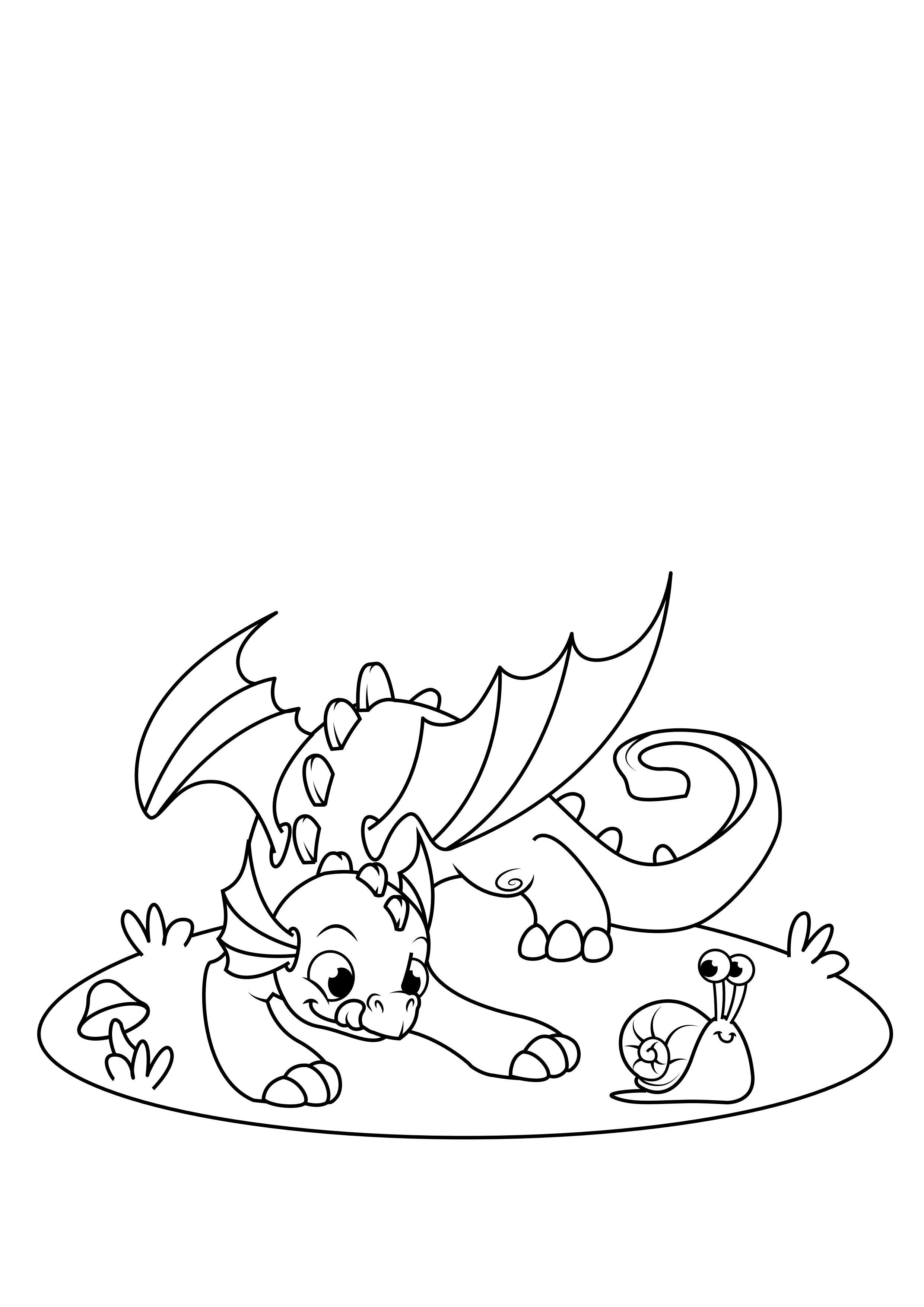 malvorlage drache spielt mit schnecke  kostenlose