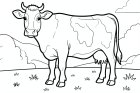 eine Kuh auf der Wiese