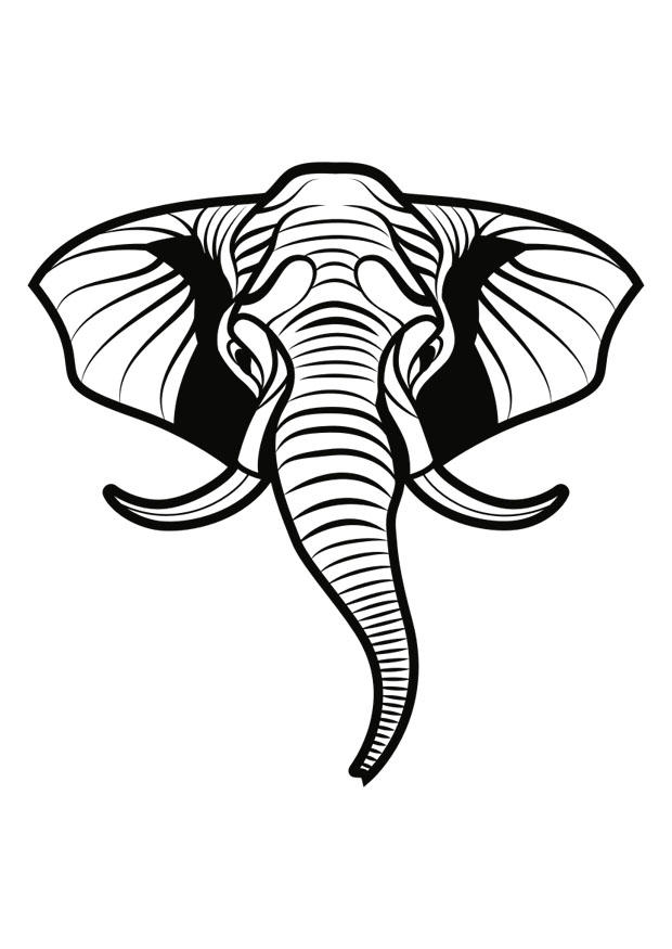 Malvorlage  Elefant