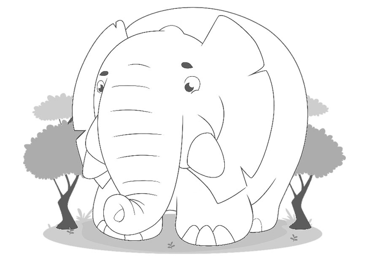 Malvorlage  Elefant