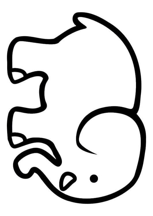 Elefant