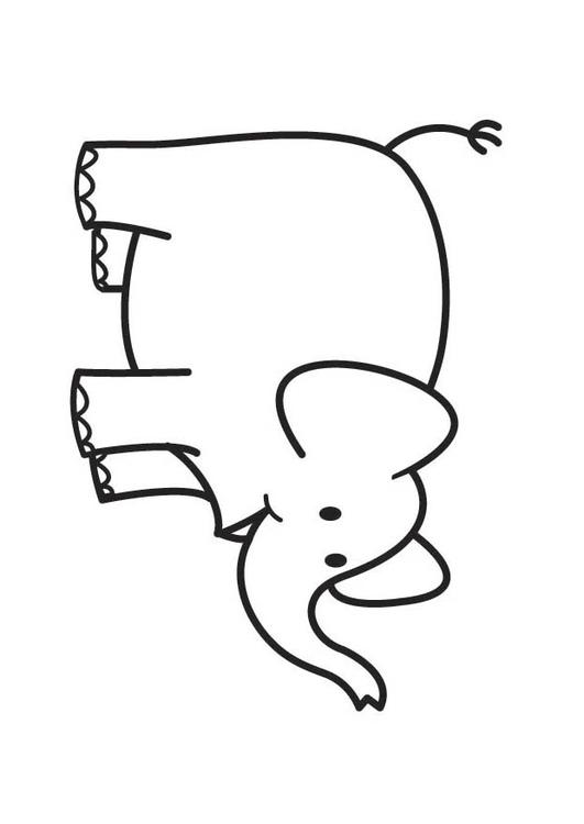 Elefant