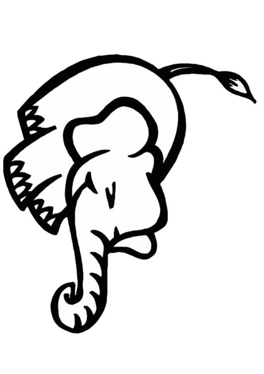 Elefant