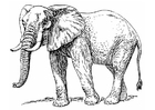 Malvorlagen Elefant