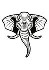 Elefant