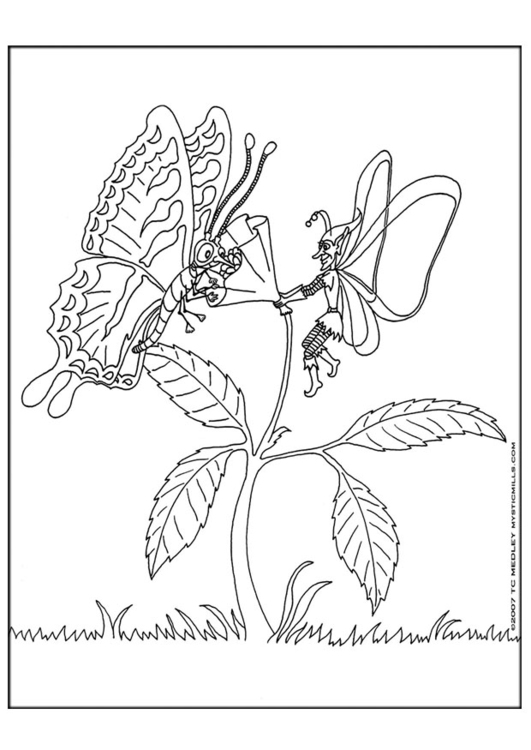 Malvorlage  Elfe mit Schmetterling