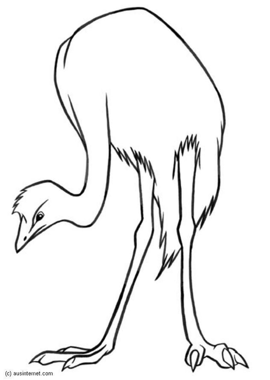 Malvorlage  Emu
