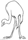 Malvorlage  Emu