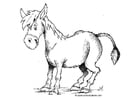 Malvorlage  Esel