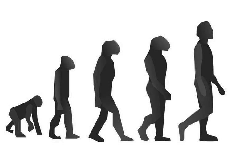 Malvorlage  Evolution