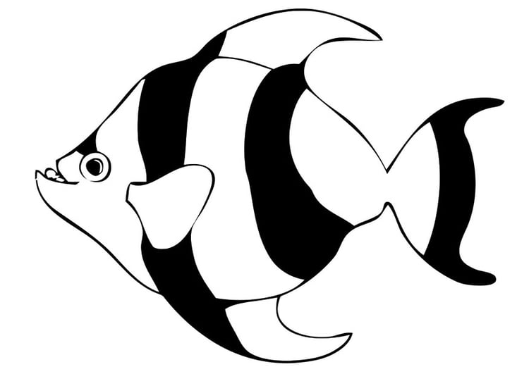 malvorlage fisch  kostenlose ausmalbilder zum ausdrucken