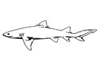 Malvorlagen Fisch - Hai