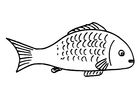malvorlage Fisch
