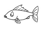 Malvorlagen Fisch