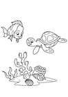 Malvorlagen Fisch und Wasserschildkröte