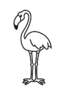 Malvorlage  Flamingo