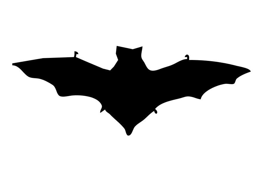 Ausmalbild Fledermaus Kostenlos