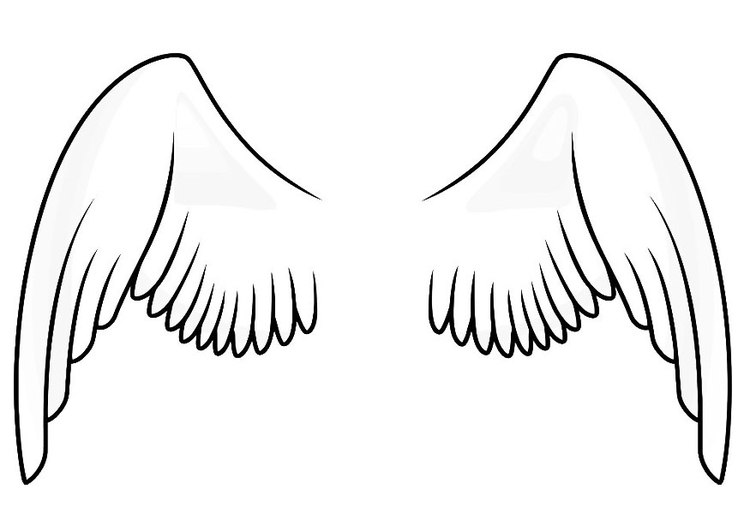 Malvorlage Engelsflügel / Engelsflugel Malvorlage Illustrationen Und