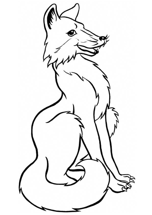 Malvorlage  Fuchs