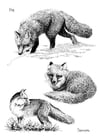 Malvorlagen Fuchs