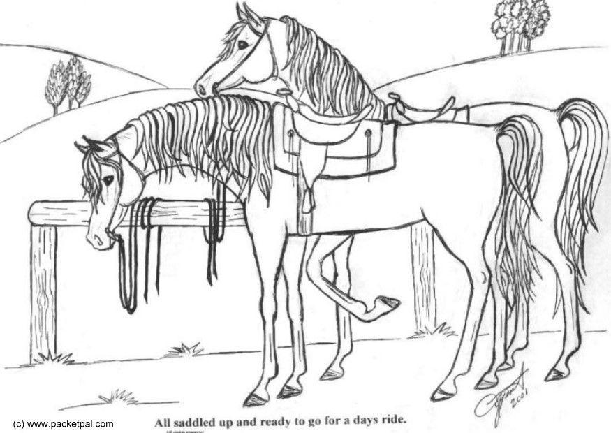 Malvorlage  gesattelte Pferde