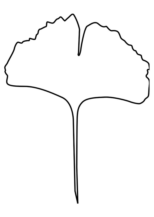 Malvorlage  Ginko Blatt