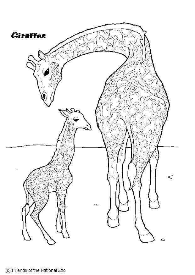 ausmalbilder giraffe zeichnung