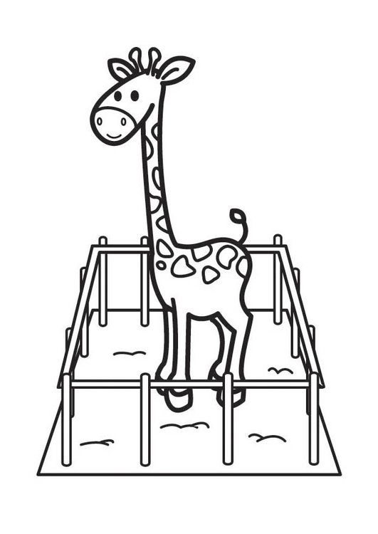 Malvorlage  Giraffe