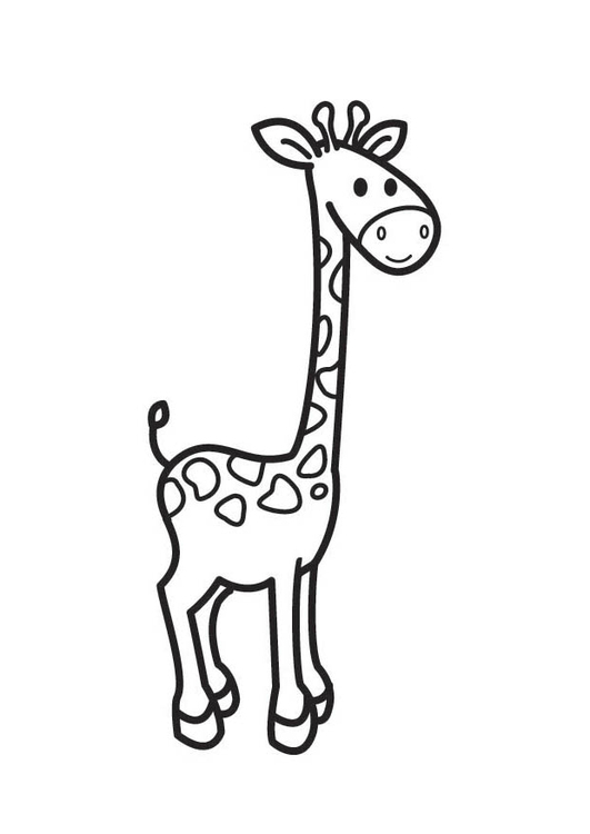 Malvorlage  Giraffe