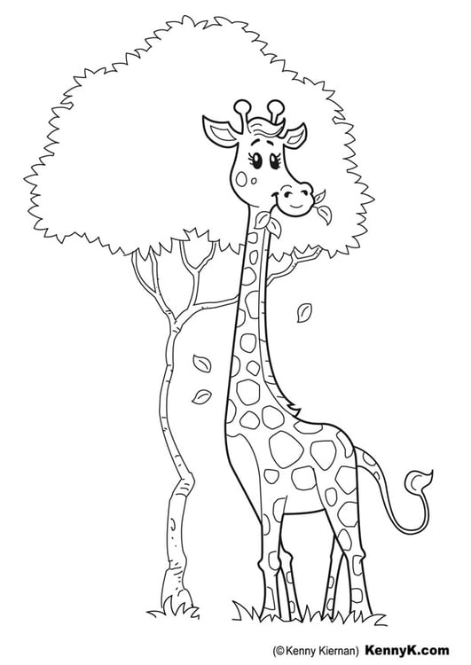 Malvorlage  Giraffe